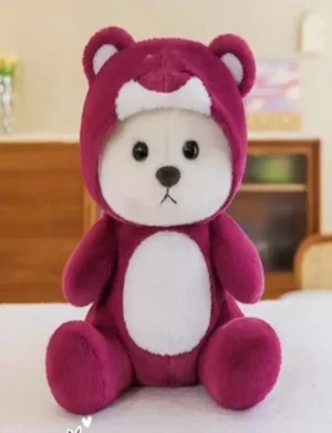 plush animal bear doll with Hoodie lovely stuffed Teddy bear