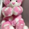 itacheeHUB teddy bear red & white