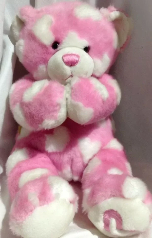 itacheeHUB teddy bear red & white